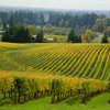 Oregon region called world’s top wine destination