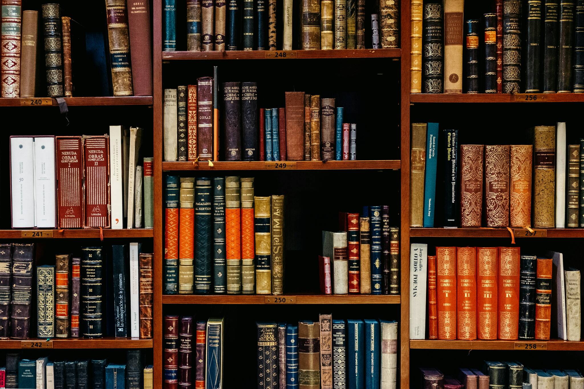 State budget shuts out funding for Dolly Parton’s Imagination Library of Washington