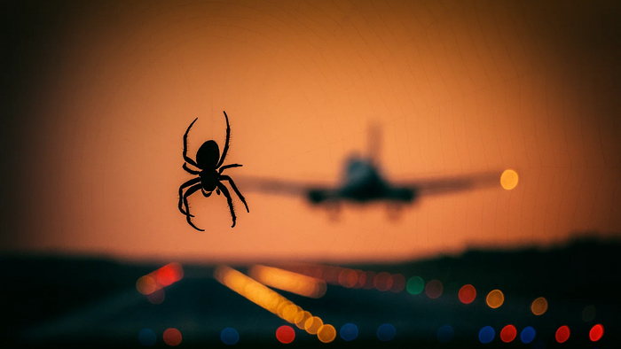 FBI Warns of Scattered Spider’s Expanding Attacks on Airlines Using Social Engineering
