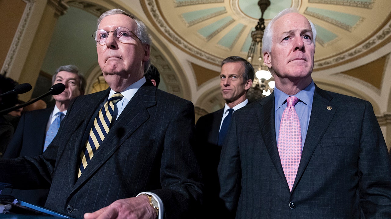 Senate Republicans strip burdensome gun control provisions from Gun Bill before final passage